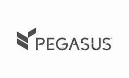 PEGASUS SOLUTIONS RENEWS LONG-TERM PARTNERSHIP WITH HOTELES CAMINO REAL